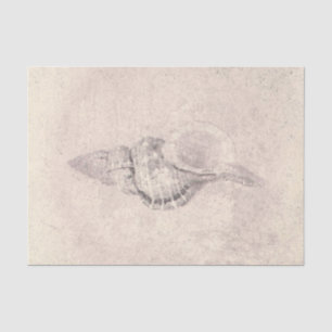 Papier Mousseline Texture de plage océanique vintage sépia coquille