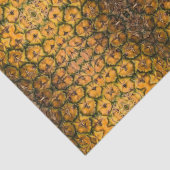 Papier Mousseline Texture d'écorce d'ananas (Détail)