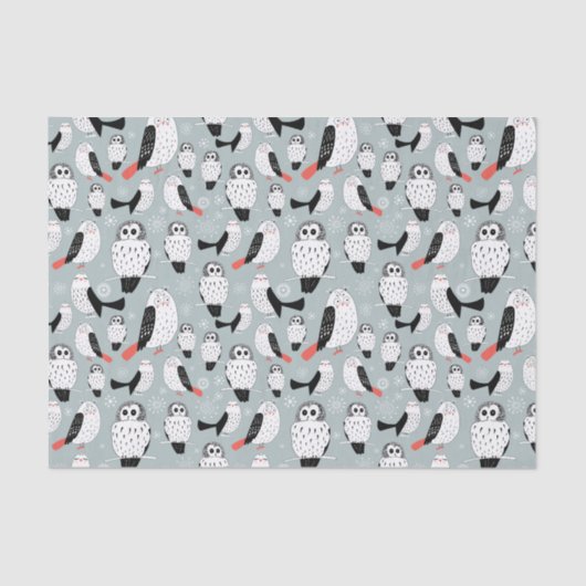 Papier Mousseline Texture Des Chouettes Blanches (Recto)