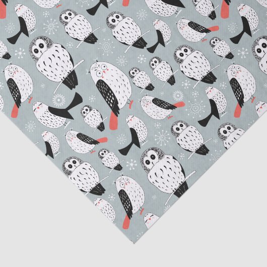 Papier Mousseline Texture Des Chouettes Blanches (Détail)