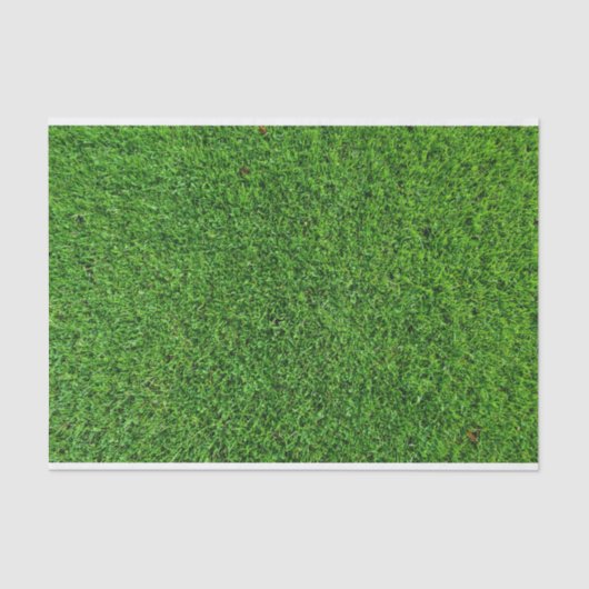 Papier Mousseline Texture d'herbe verte (Recto)