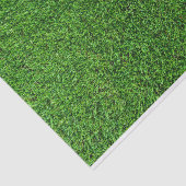 Papier Mousseline Texture d'herbe verte (Détail)