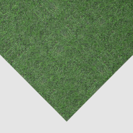 Papier Mousseline Texture d'herbe verte (Détail)