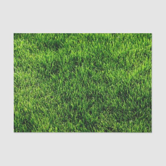 Papier Mousseline Texture d'herbe verte d'un terrain de football (Recto)