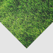 Papier Mousseline Texture d'herbe verte d'un terrain de football (Détail)