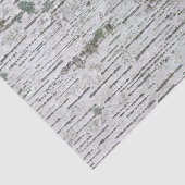 Papier Mousseline Texture du bois de bouleau (Détail)