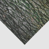Papier Mousseline Texture naturelle de l'écorce d'arbre (Détail)