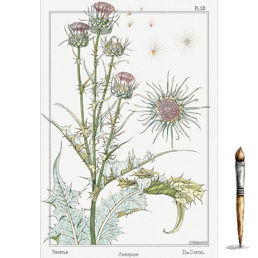 Papier Mousseline Thistle, la série Botany d'Eugene Grasset