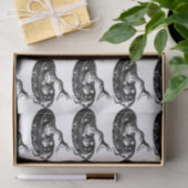 Papier Mousseline Thunder_Cove (Cadeau)