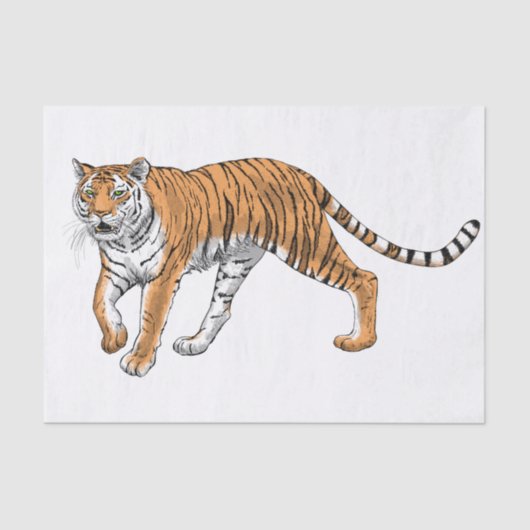 Papier Mousseline Tigre 2 (Recto)