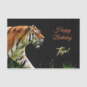 Papier Mousseline Tigre à ressort