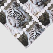 Papier Mousseline Tigre blanc mignon (Détail)