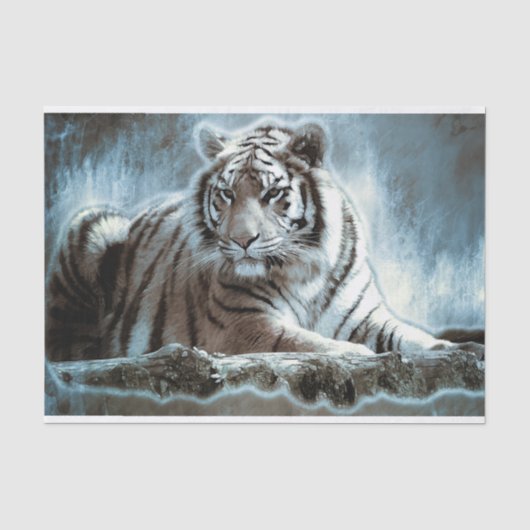 Papier Mousseline Tigre du Bengale (Recto)