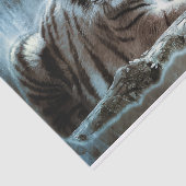 Papier Mousseline Tigre du Bengale (Détail)