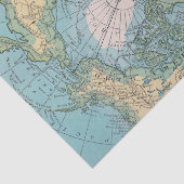 Papier Mousseline Tissu arctique (Détail)