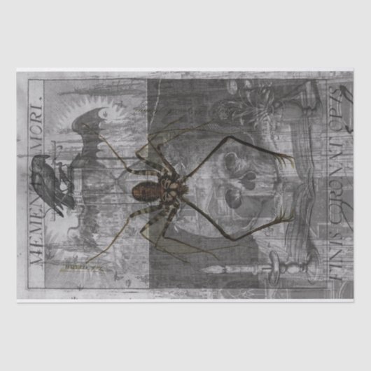 Papier Mousseline Tissu de collage d'Halloween (Recto)