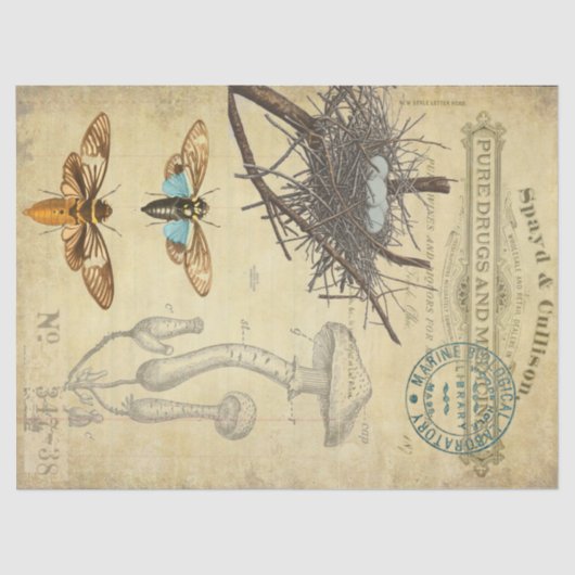 Papier Mousseline Tissu de Decoupage d'apothicaire (Recto)