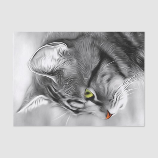 Papier Mousseline Tissu de découpage de chat noir et blanc superbe  (Recto)