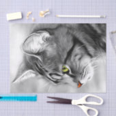 Papier Mousseline Tissu de découpage de chat noir et blanc superbe  (Artisanat)