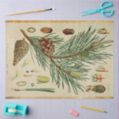 Papier Mousseline Tissu de découpage de pin de Noël (Artisanat)