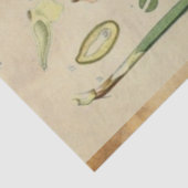 Papier Mousseline Tissu de découpage de pin de Noël (Détail)