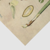 Papier Mousseline Tissu de découpage de pin de Noël (Détail)