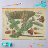 Papier Mousseline Tissu de découpage de pin de Noël (Artisanat)