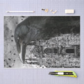 Papier Mousseline Tissu du collage de Raven (Artisanat)