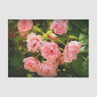 Papier Mousseline Tissu montant de cadeau de roses