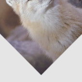 Papier Mousseline Tissu papier Corsac Fox (Détail)