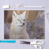 Papier Mousseline Tissu papier Corsac Fox (Artisanat)