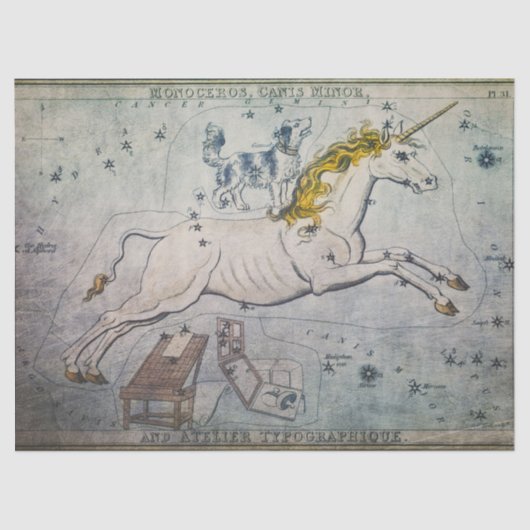 Papier Mousseline Tissu Unicorne ou papier découpage (Recto)