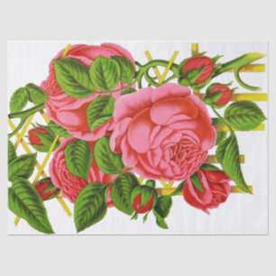 Papier Mousseline Tissu vintage d'impression de roses de corail