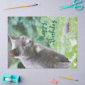 Papier Mousseline Tissue de chat (Artisanat)