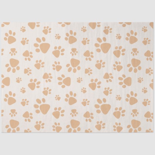 Papier Mousseline Tissue Paper (Recto)