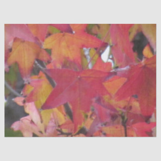 Papier Mousseline Tissue Paper - Autumn Leaves