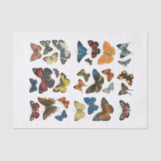 Papier Mousseline Tissue Paper butterfly decoupage