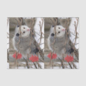 Papier Mousseline Tissus Papier Opossum Nature (Recto)