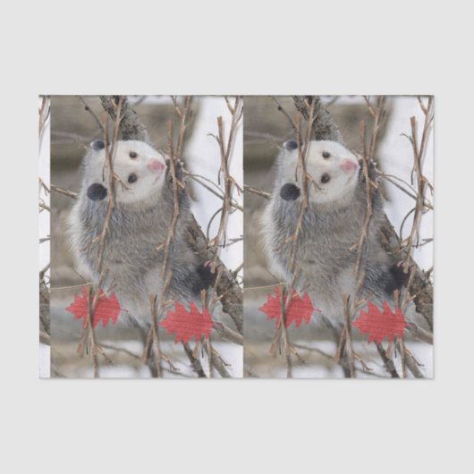 Papier Mousseline Tissus Papier Opossum Nature (Recto)