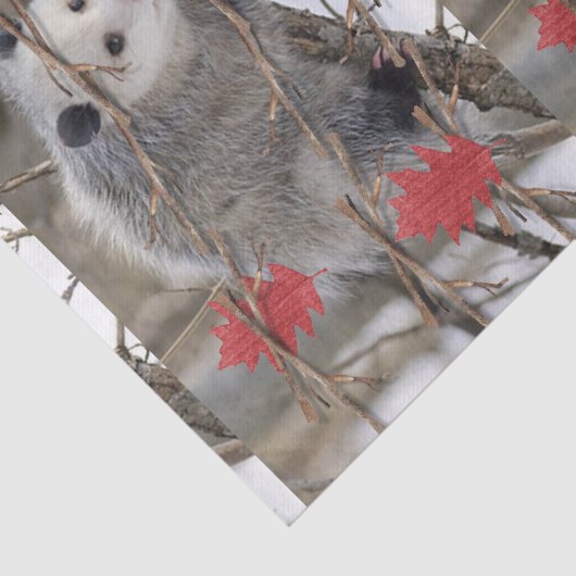 Papier Mousseline Tissus Papier Opossum Nature (Détail)