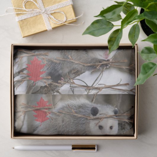 Papier Mousseline Tissus Papier Opossum Nature (Cadeau)