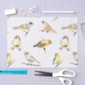 Papier Mousseline Tit birds motif (Artisanat)