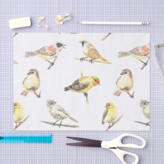 Papier Mousseline Tit birds motif (Artisanat)