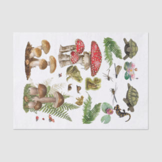 Papier Mousseline Toadstool découpage papier éléments en bois