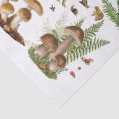 Papier Mousseline Toadstool découpage papier éléments en bois (Détail)