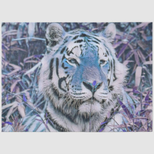 Papier Mousseline Toony Tiger bleu
