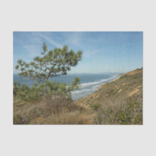Papier Mousseline Torrey Pine and California Coastline Landscape