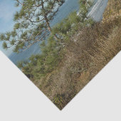 Papier Mousseline Torrey Pine and California Coastline Landscape (Détail)