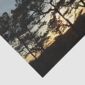 Papier Mousseline Torrey Pine Sunset II Californie Paysage (Détail)