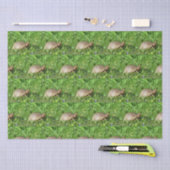 Papier Mousseline Tortue (Artisanat)